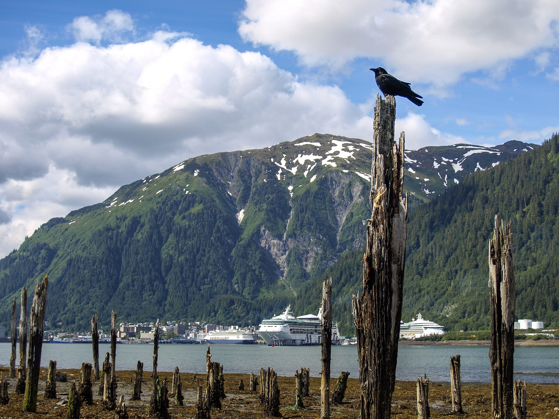 Cruise ships docked at Juneau, Alaska, below green forested mountains with snow patches under a blue sky