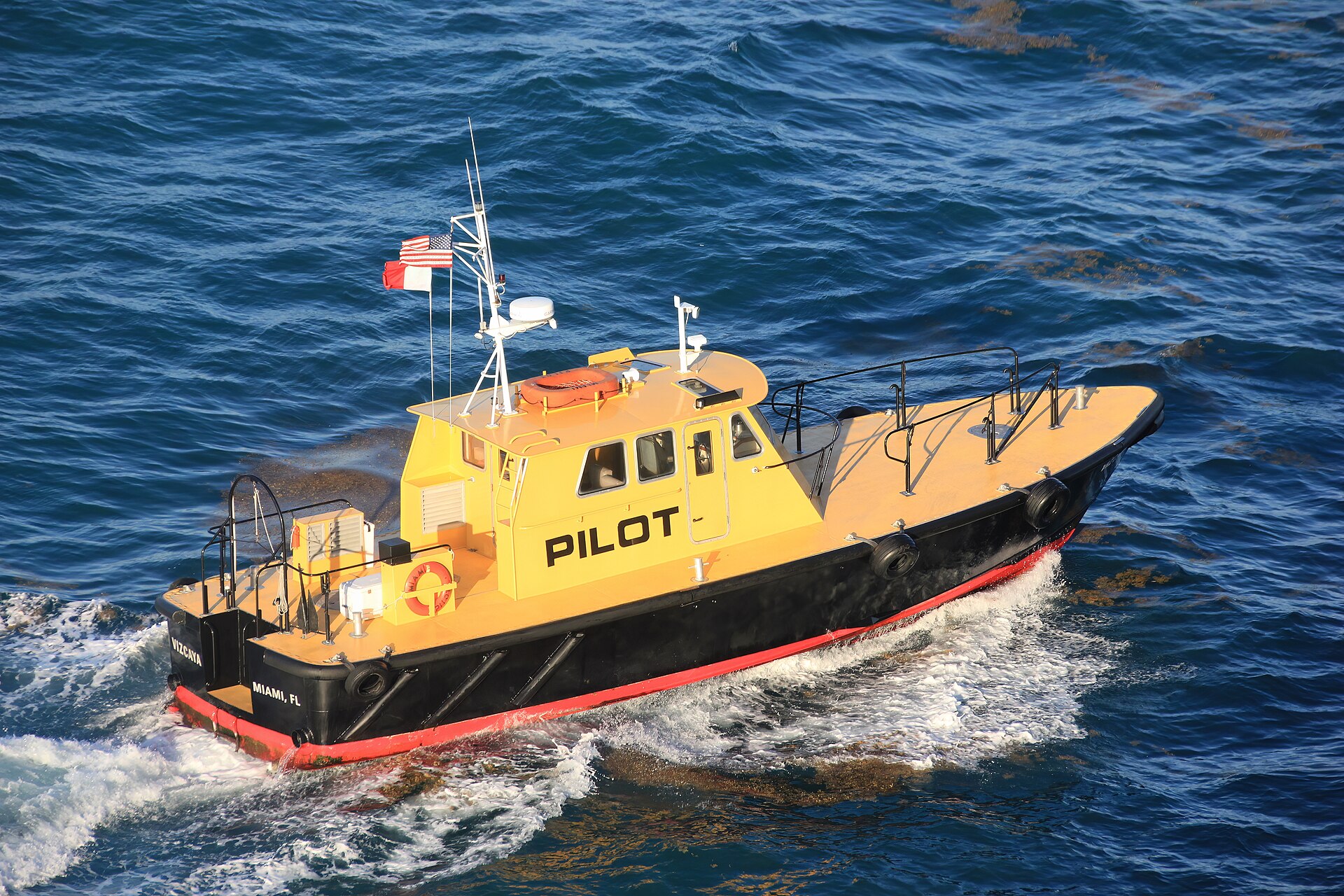 Why Do Cruise Ships Need a Pilot? The Law, the Ladder and Who’s Really in Charge