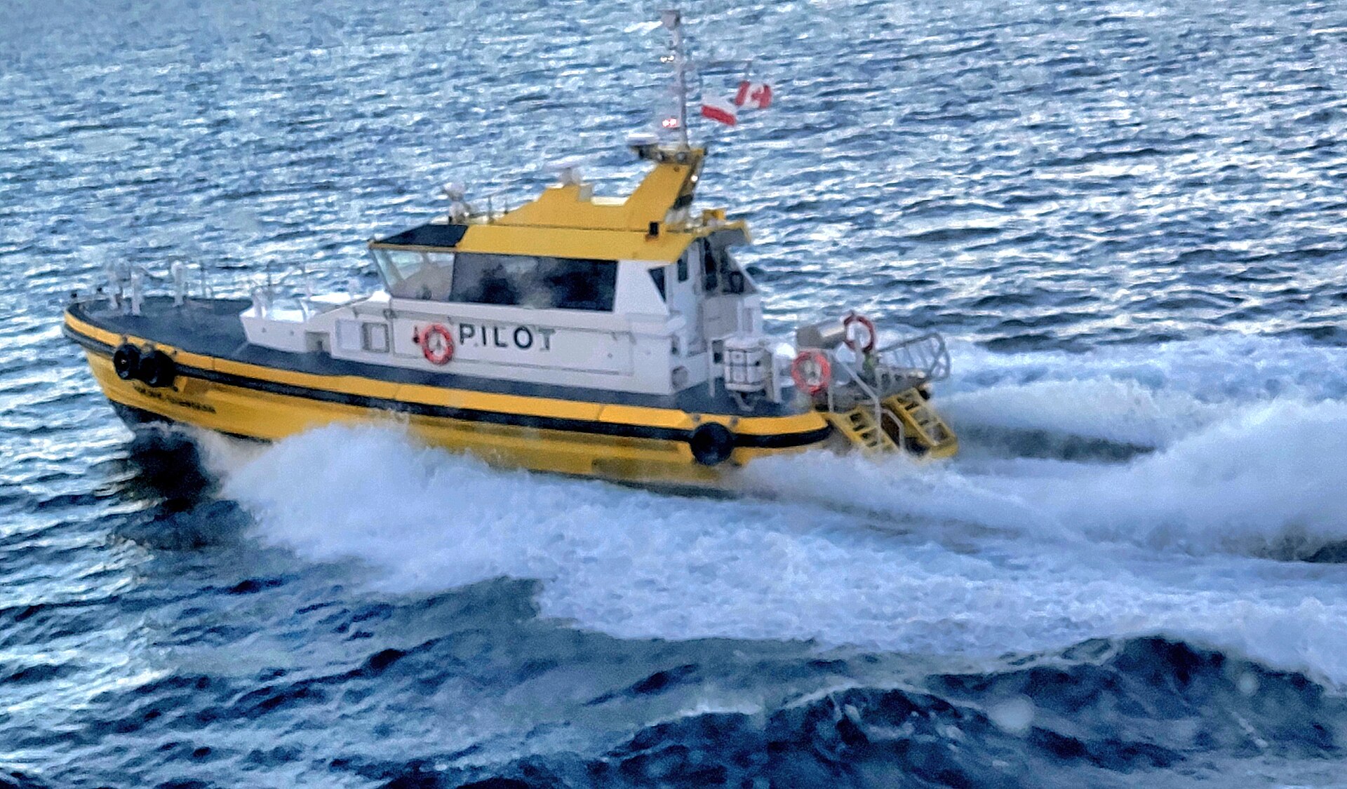 Yellow and white pilot boat racing away from a cruise ship through choppy blue water off Victoria, British Columbia