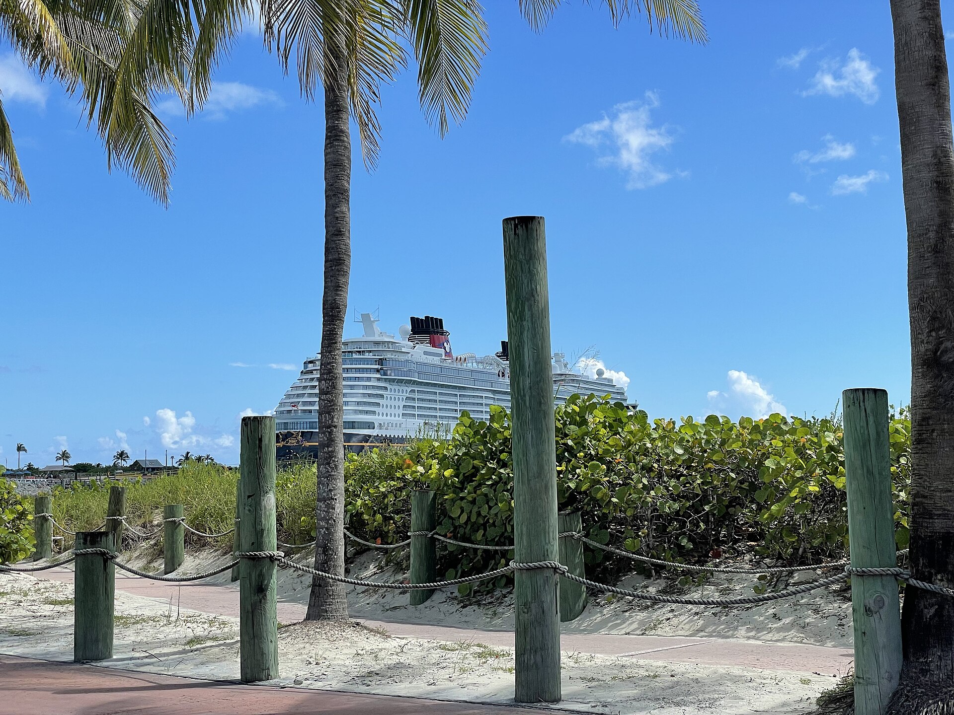 Disney Wish seen through palm trees and rope fencing on Castaway Cay under a bright blue sky