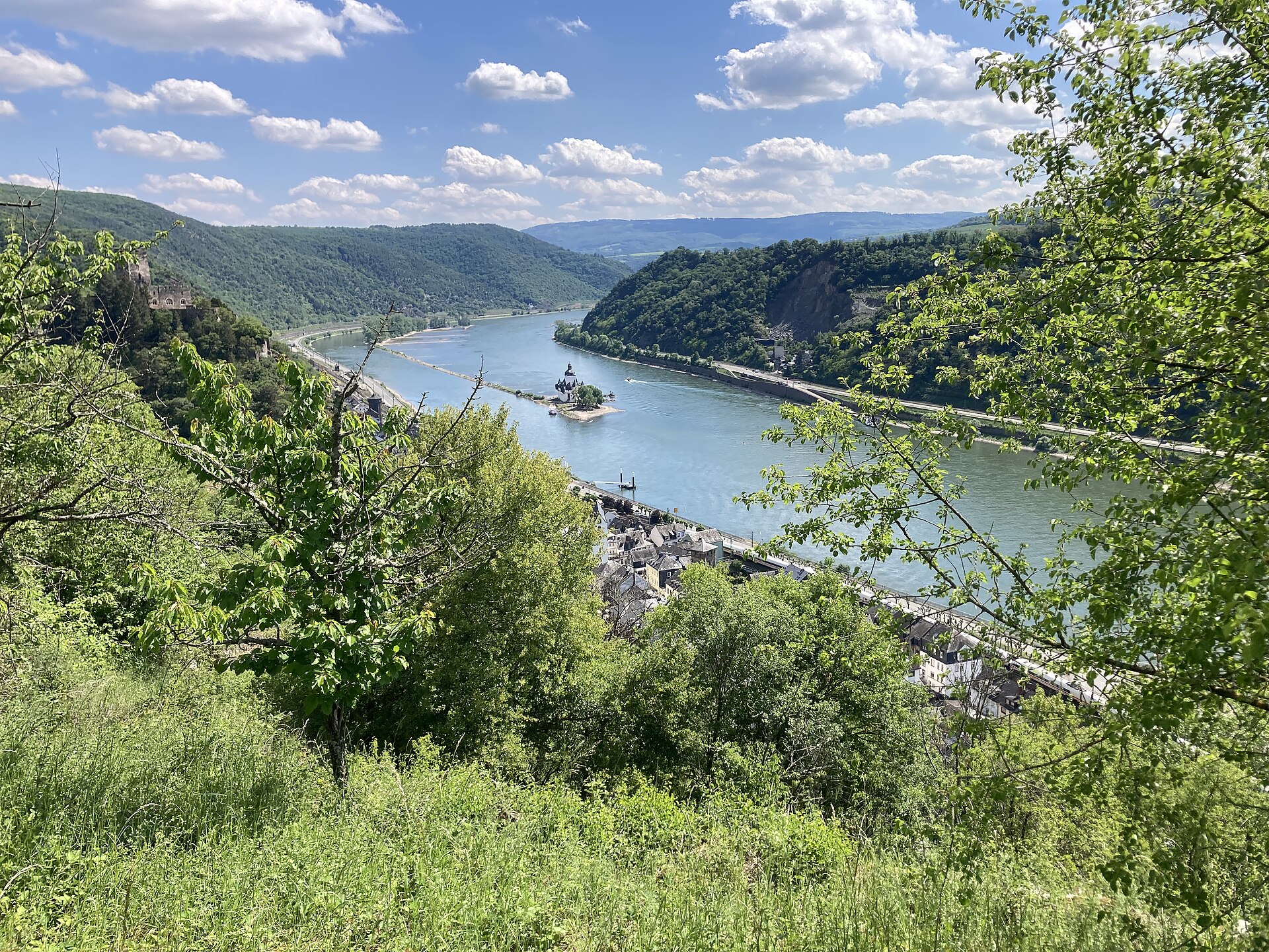 The green Rhine Gorge at Kaub, with Pfalzgrafenstein Castle on its island in the river, seen from a wooded hillside