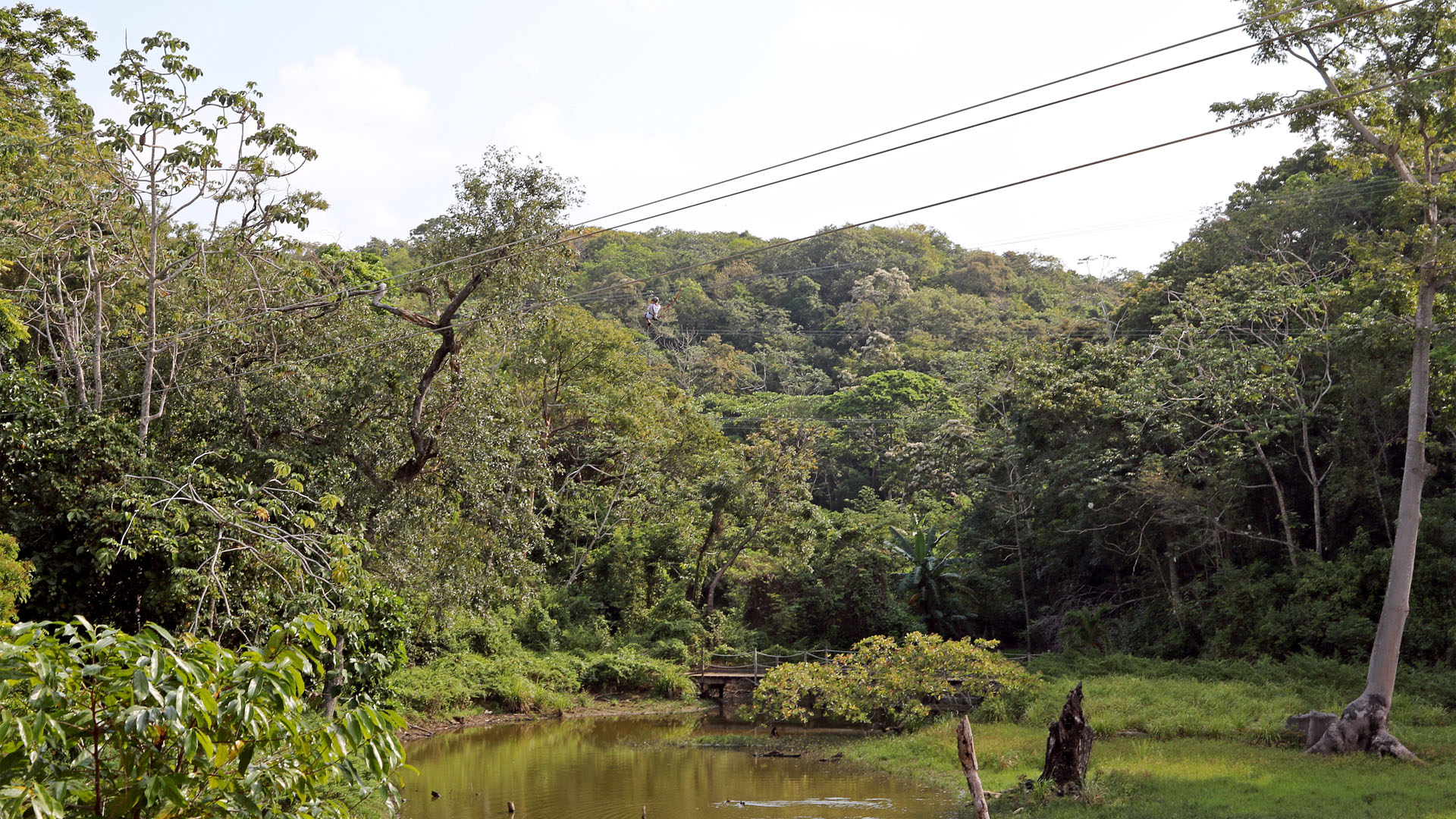 A rider on a zip line above green rainforest and a pond near Mahogany Bay, Roatan