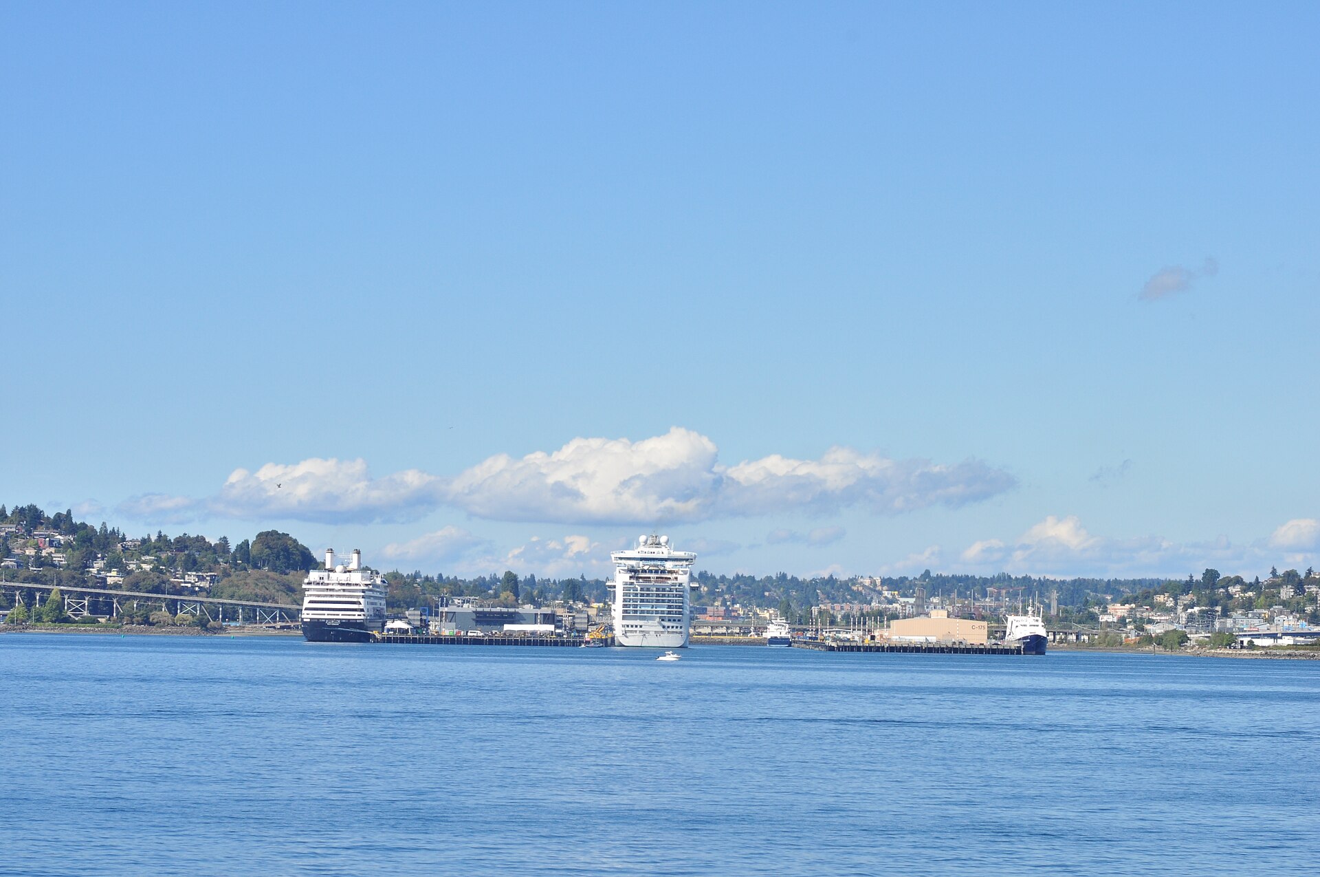 Cruise ships berthed at Smith Cove on Elliott Bay, Seattle, under a blue sky