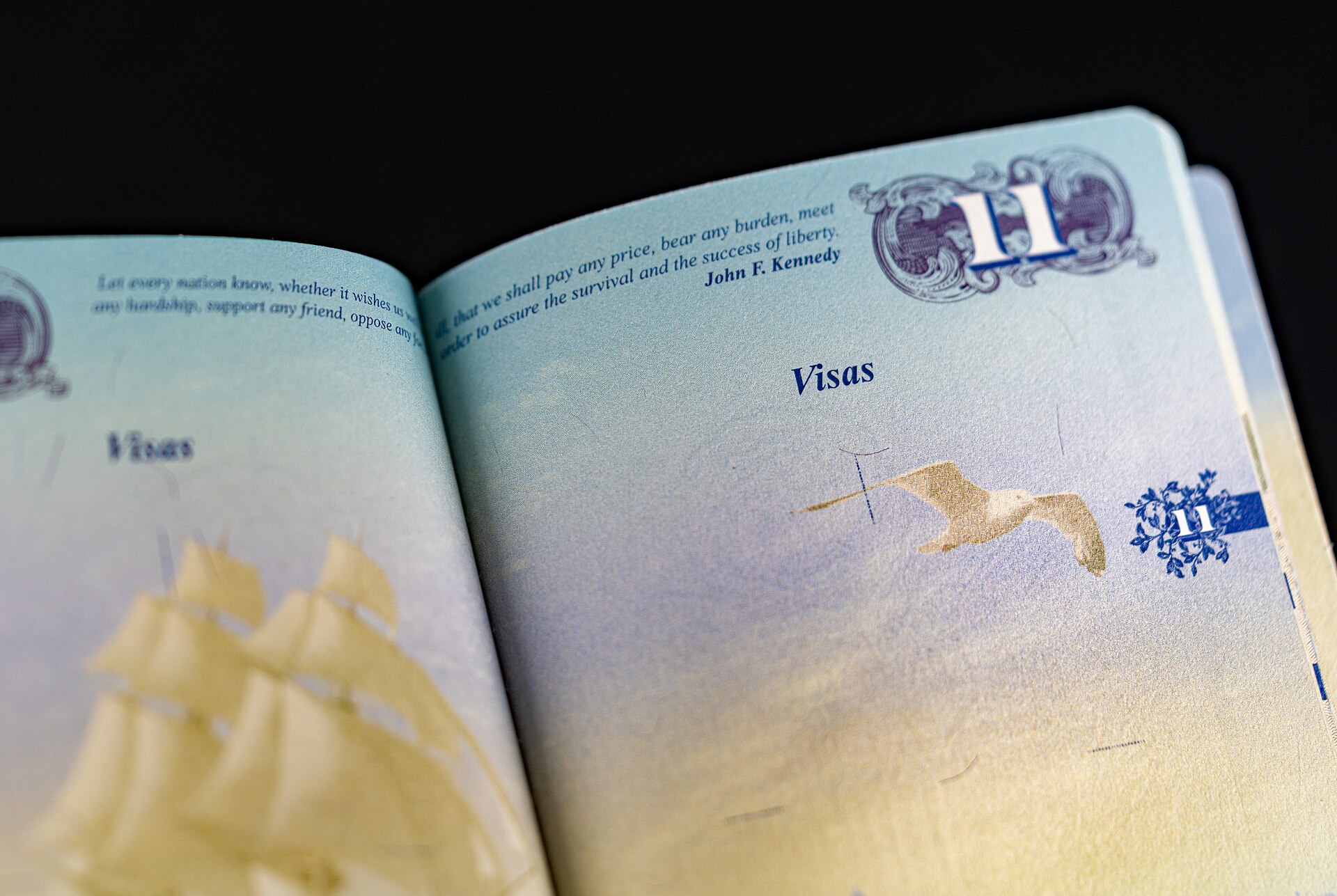 Open U.S. passport showing the pale blue and gold Visas pages with an illustrated sailing ship and seagull