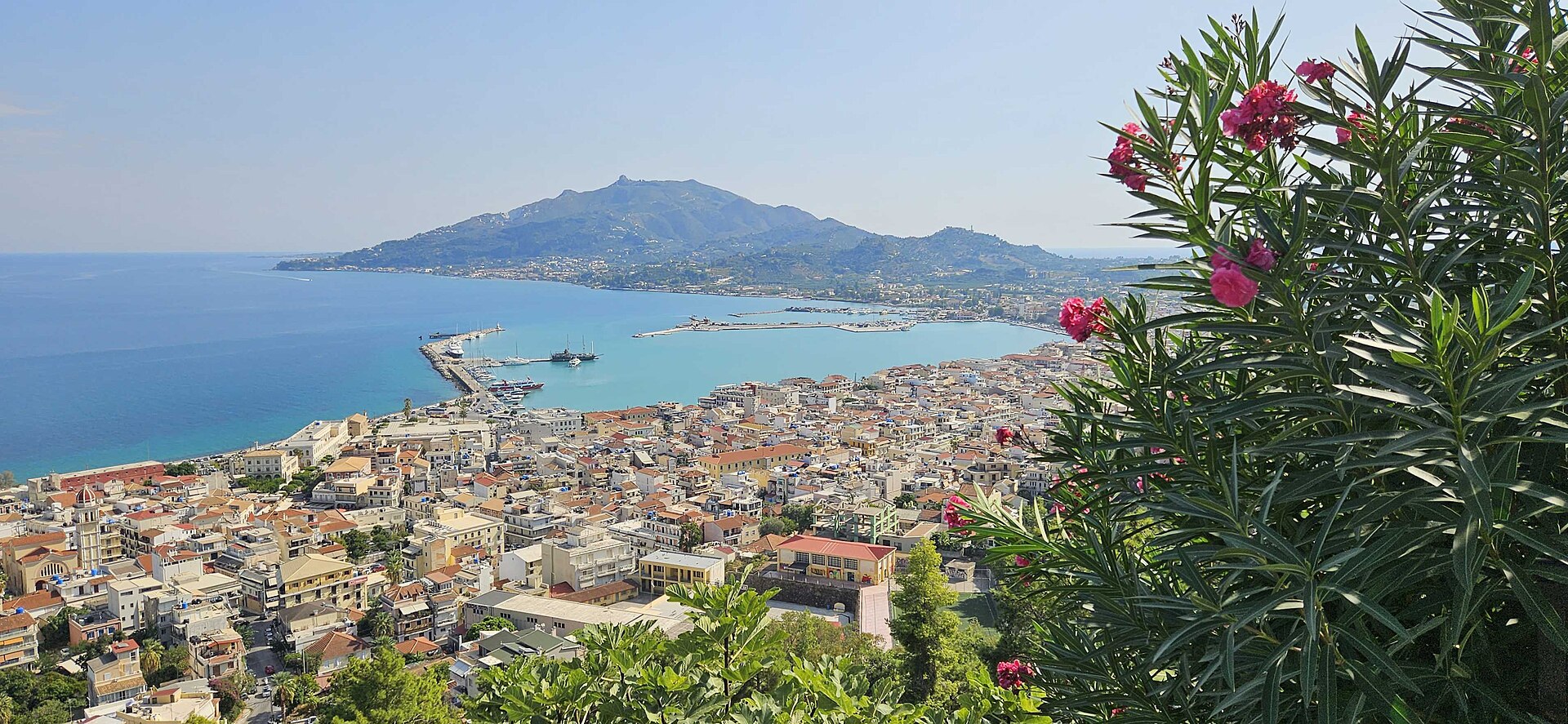 Zakynthos town and harbour on the Ionian Sea, seen from a hillside with pink oleander in the foreground